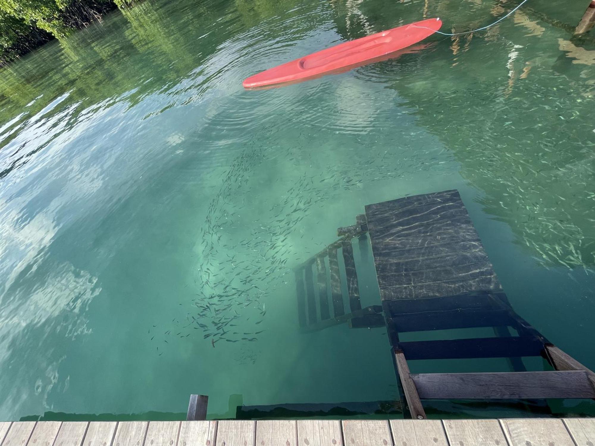 Floating Paradise Karimunjawa Exterior photo